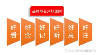 肖一刀 從無到有，打造豬肉品牌的戰略與啟示